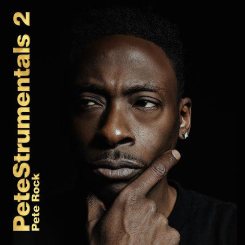 Pete Rock, один из величайших хип-хоп продюсеров, готовит новый инструментальный альбом