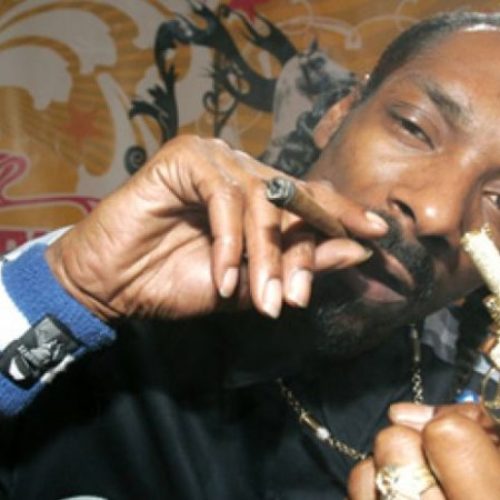 11 ноября состоится премьера ток-шоу Snoop Dogg «GGN»