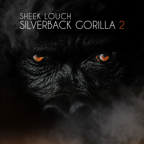 sheek-louch-sbg2-cover