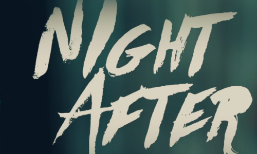 Starr K feat. Mr. Johnson «Night After»