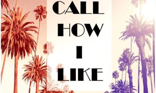 Big Havikk feat. Big Prodeje & Baby Boi «Call How I Like»