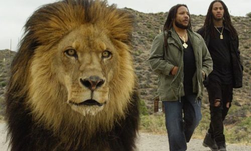 Stephen Marley экранизирует треки с нового альбома, на этот раз -Scars On My Feet-, при участии Waka Flocka Flame