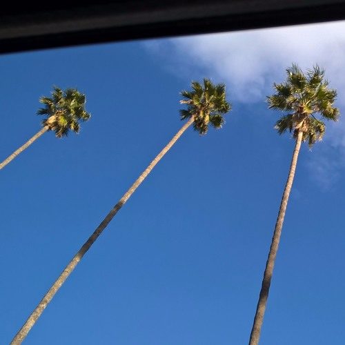310Prophet «Urban Paradise» (Instrumental) [Rough Mix]