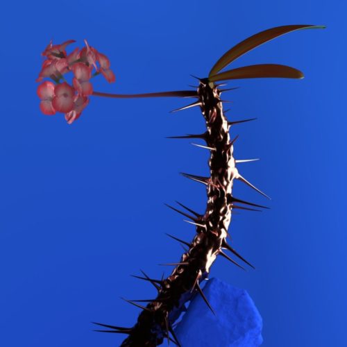 Flume — «Skin Companion EP II»