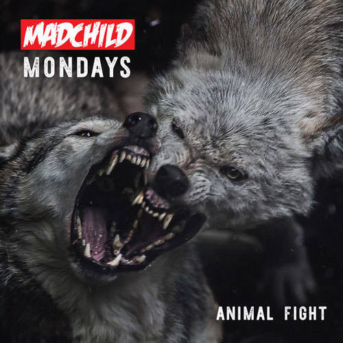 Madchild презентует по понедельникам свежие треки и вот новый «Animal Fight»