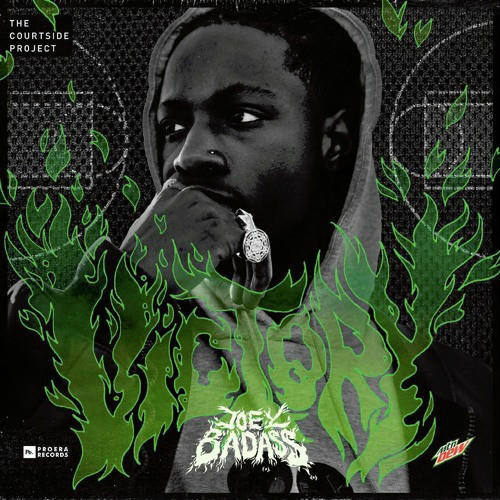 Joey Bada$$ — «Victory»