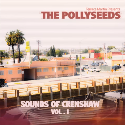 The Pollyseeds feat. Chachi «Intentions»