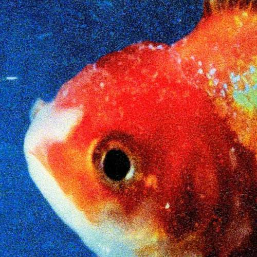 Vince Staples – «Big Fish Theory»