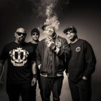 Cypress Hill