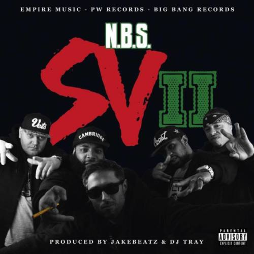 N.B.S. – «Swissvets 2»