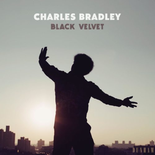 Charles Bradley — «Black Velvet»