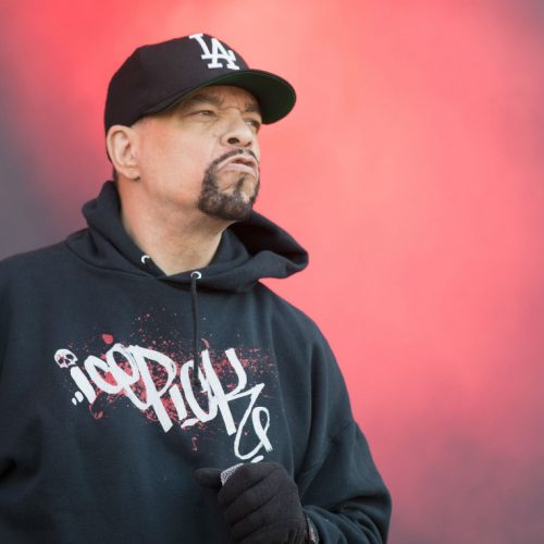 Ice-T — «Feds In My Rearview»