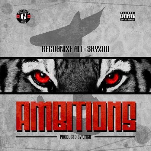 Recognize Ali x Skyzoo — «Ambitions»