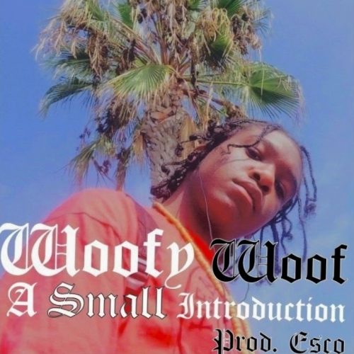 WooF — «A Small Introduction»