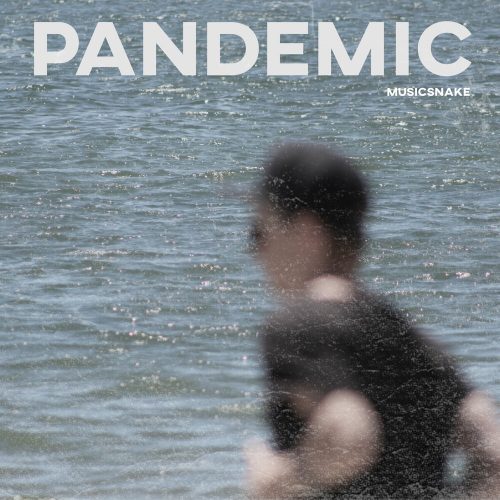 MusicSnake — «Pandemic»