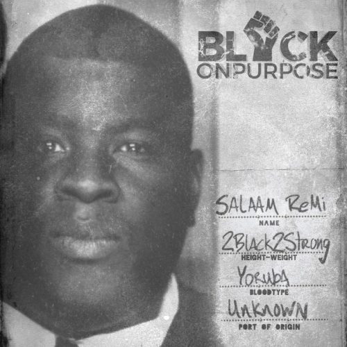 Salaam Remi — «Black On Purpose»