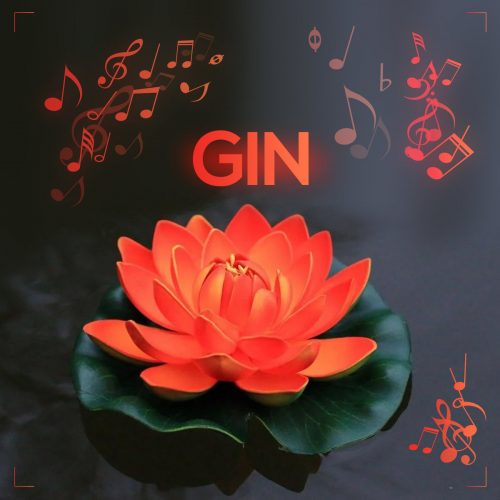 GIN — «GIN»