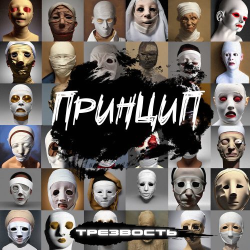 Принцип — «Трезвость»