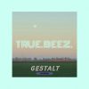 TRUEBEEZ — «GESTALT. Krasnodar»