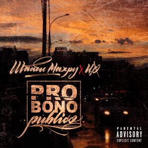 Шааби Махру & ЦО – «Pro Bono Publico»